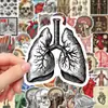 50 pegatinas de órganos humanos para resolver el problema en estilo graffiti creativo decoración cuaderno cuenta manual pegatinas impermeables