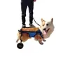 Suministros para mascotas transfronterizos de Amazon: ayuda de movilidad para perros mayores, vehículo especial de rehabilitación para perros con patas lesionadas o discapacitadas