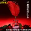 Dr. Varita de Pluma Suave Sheng En para Jugar con Tubo de Metal Juguete Sexual para Adultos Juguete de Entrenamiento Sm