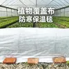 Cubierta vegetal no tejida transfronteriza de 35 g para protección transpirable de frutas y verduras, cubierta de aislamiento invernal para plantas verdes, flores y árboles frutales