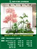 Paisagismo de Planta Artificial Varanda Arranjo de Paisagem Escada Interna Sob Árvore de Flores Artificiais Decoração Biomórfica Planta Verde Paisagismo Combinação