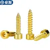 Tornillos Autorroscantes Hexagonales Cabeza de Copa de Acero Inoxidable 304 Chapado en Titanio Dorados Tornillos para Madera Hexagonales M2M2.5-M6