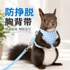 Arnés para ardilla, marmota, conejo, suricata, chinchilla, hurón, cobaya, correa desmontable anti-escape