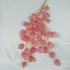 Linterna de fruta de carambola de simulación, fotografía de bodas, suministros de flores falsas, flores de simulación al por mayor, una generación de cabello