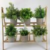 Ramo de plantas verdes amazónicas en maceta para el hogar, habitación, porche suave, adornos transfronterizos, pequeñas macetas, fábrica al por mayor