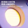 Luz de Preenchimento para Transmissão ao Vivo de 300W, Luz para Fotografia para Montagem de Sala de Transmissão ao Vivo, Refletor Esférico com Grade Constante, Lâmpada Solar de Alto Brilho