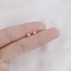 Pendientes de Plata de Ley 925 Estilo Nuevo Primavera Verano Pequeños Celebridad de Internet Douyin Más Vendidos Pendiente Simple Moderno Estudiante Mujer Noche