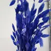 Flores Eternas Erva da Pequena Esperança Flores Secas Flores Verdadeiras Branqueamento Cor acessórios de buquê absorção de cor Erva da Pequena Esperança Fábrica de Yunnan Atacado Flores Eternas