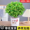 Planta en Maceta Flor de Milán, Planta de Interior con Flores y Capullos, Planta Verde Repelente de Mosquitos, Bonsái de Tocón Viejo, Planta de Floración Cuatro Estaciones, Fragante y Fácil de Cuidar