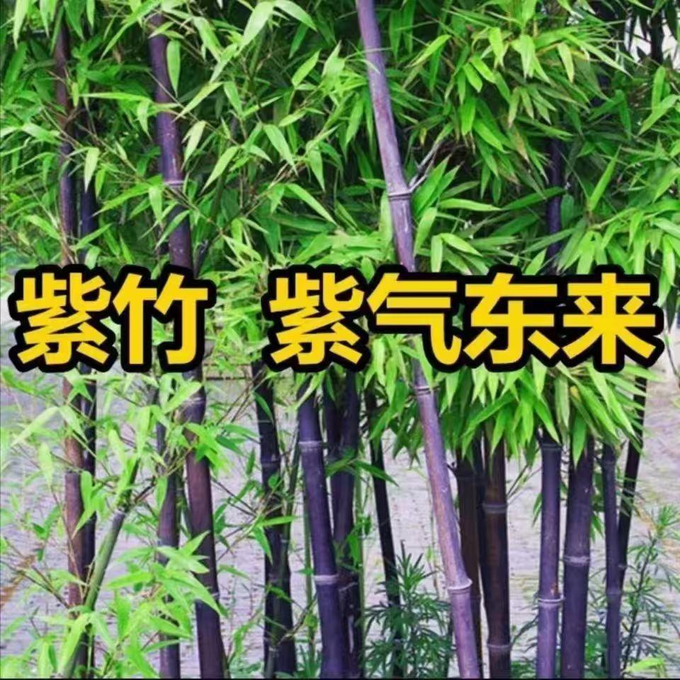 /O1CN01k4InPY1QIywu1Hj0s_!!2219388441954-0-cib.jpg