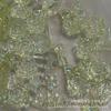 Nova edição Starry Sky Ice transparente Aurora Green Pure sem série branca atacado em estoque grande quantidade Congyou Diy mão