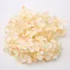 Cabezas de Flores de Hortensia Simuladas Materiales para Manualidades Pared de Flores para Bodas Bolas de Flores Arreglos Florales Regalos Festivos Caja de Flores Accesorios de Decoración Venta al por Mayor