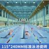 Piscina Estándar Internacional, Gimnasio, Azulejos para Piscina, Piscina de Entrenamiento para Competición, Piscina Especial para Patio, Azulejos para Piscina Privada