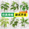 Plantas Verdes Simuladas, Hojas de Girasol, Hojas de Tortuga, Potos, Árboles Falsos, Hojas Verdes, Plantas en Maceta, Decoración para Oficina, Hogar, Sala de Estar, Venta al por Mayor