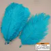 Accesorios de ropa de plumas de avestruz de colores materiales de decoración de bodas accesorios de plumas hechos a mano DIY decoración del hogar