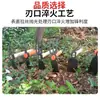 Azada pequeña para flores de jardín herramienta de azada-pico de doble propósito rastrillo de dientes de madera mango de madera verdura pino tierra jardín pequeña azada fábrica venta al por mayor
