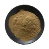 Jugo en Polvo de Dátil Rojo, Polvo de Dátil Rojo, Materia Prima de Grado Alimenticio, Extracto de Dátil Rojo, Bebida Sólida, Polvo de Dátil Rojo Soluble en Agua, En Stock
