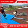 Teja de acero a color cinta impermeable autoadhesiva reparación de fugas en el techo protector solar resistente a la corrosión fuerte reparación de fugas membrana impermeable autoadhesiva