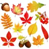 Bestseller transfronterizo otoño Acción de Gracias imanes para refrigerador personalizados para el hogar ventana puerta de garaje imanes fiesta decoración del hogar