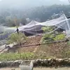 Buraco Pequeno Varanda Anti-Pássaro Borboleta Pomar Árvore Frutífera Cerejeira Cobertura de Malha Uva Criação Cigarra Dourada Nylon de Alta Resistência Reciclagem