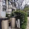 Suporte de Flores em Arco Anti-Ferrugem, Treliça para Rosas Trepadeiras, Treliça para Uvas, Estrutura de Suporte para Roseiras e Clematis, Suporte de Flores Decorativo para Jardim Externo