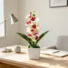 Maceta cuadrada al por mayor con 8 mini orquídeas phalaenopsis artificiales, planta falsa para fotografía y decoración de bodas