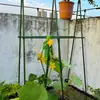 Trellis de uva tubo de acero jardín estante de flores plantación de maracuyá verduras pepino frijoles plantación melón cobertizo soporte para enredaderas varilla de soporte