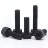 Tornillos de plástico negro de hexágono interior Tornillos de nylon Pa66 Tornillos de plástico de cabeza cilíndrica de hexágono interior de cabeza de copa M3-M12