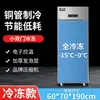 Congelador de Exposição Comercial Pequeno de Porta Dupla Totalmente Refrigerado e Totalmente Congelado Congelador Comercial de Hotel Armário de Cozinha de Grande Capacidade