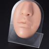 Gaby Europa y Estados Unidos transfronterizo silicona suave simulación modelo de órgano modelo rosa accesorios de exhibición para enseñanza médica