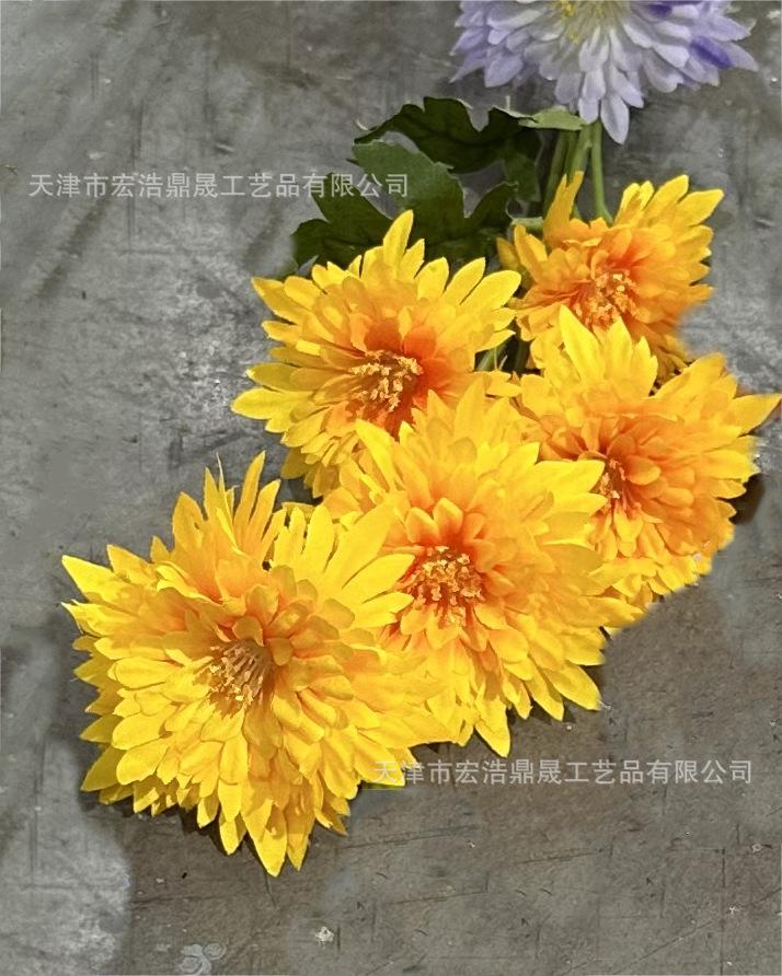 微信图片_20230723132443(2)