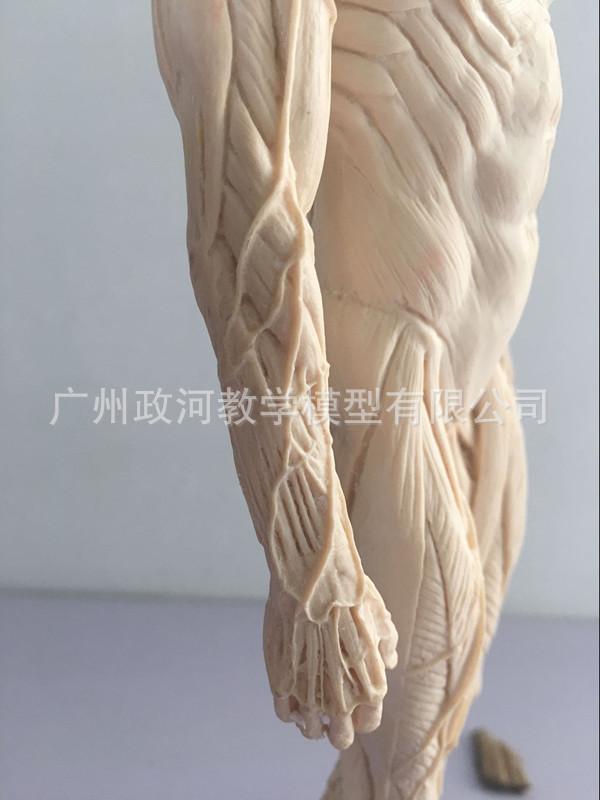 QQ图片20180825155130