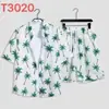Camisa Hawaiana para Hombre de Manga Corta Traje Caliente Transfronterizo Impresión 3D Patrón Colorido Casual Deportivo Conjunto de Dos Piezas