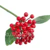 Frutas Artificiais, Frutas de Natal, Frutas de Espuma, Frutinhas, Mirtilos, Frutas Vermelhas, Frutos de Peônia, Adereços para Fotos, Transfronteiriço