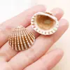 25 Tipos de Colgantes de Acrílico Blanco y Marrón de Caracola, Estrella de Mar, Tortuga, Vieira para Pendientes Hechos a Mano DIY, Cadena de Cintura y Accesorios de Joyería