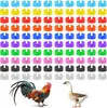 Anéis de Pé para Frango de 16mm Mais Vendidos da Amazon para Identificação, Adequados para Galinhas, Patos e Gansos, com Etiquetas Numeradas Multicores