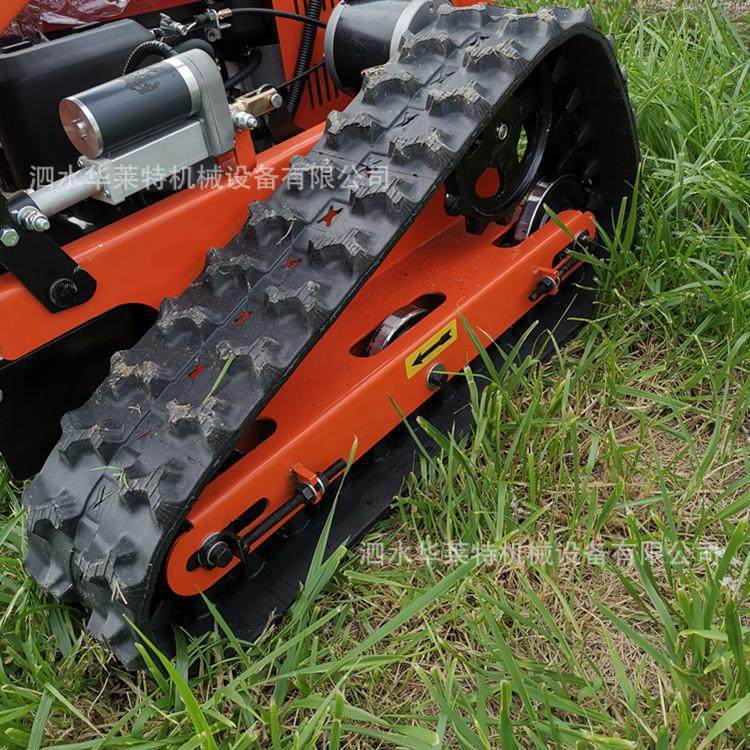 u=1410712813,3392959575&am