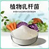Lactobacillus Botánico 100 Mil Millones Polvo de Materia Prima Probiótica Liofilizada Varias Especificaciones Polvo de Lactobacillus