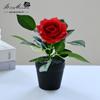 Flores Artificiales Peonía Rosa Narciso Plantas en Maceta Mini Accesorios Decorativos para Fotografía Flor Artificial Bonsái Adornos Creativos Flores Simuladas
