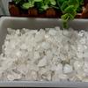 100g Ornamento de Grava de Cristal Blanco Natural Cuarzo Blanco Cristalino Piedra Suelta Venta al por Mayor en el Extranjero Piedra para Acuario Bonsái Jardín