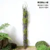 Decoração Criativa de Galhos com Musgo Enfeites Vasos de Flores Arranjo de Paisagem Mori Cenário de Floresta Tropical Combinação Adereços para Fotos