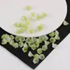 Gradiente de Color Flor de la Mañana Vidrio Cuentas Sueltas DIY Hecho a Mano Casero Pulsera Collar Joyería con Cuentas Material Accesorios Pequeños