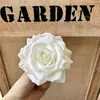 Flor Artificial Rosa com Pétalas Enroladas 12 Cores Cabeça de Flor Falsa Flores Artificiais de Alta Qualidade Decoração de Parede de Flores para Casamento Diâmetro 9cm Fabricante de Flores Artificiais