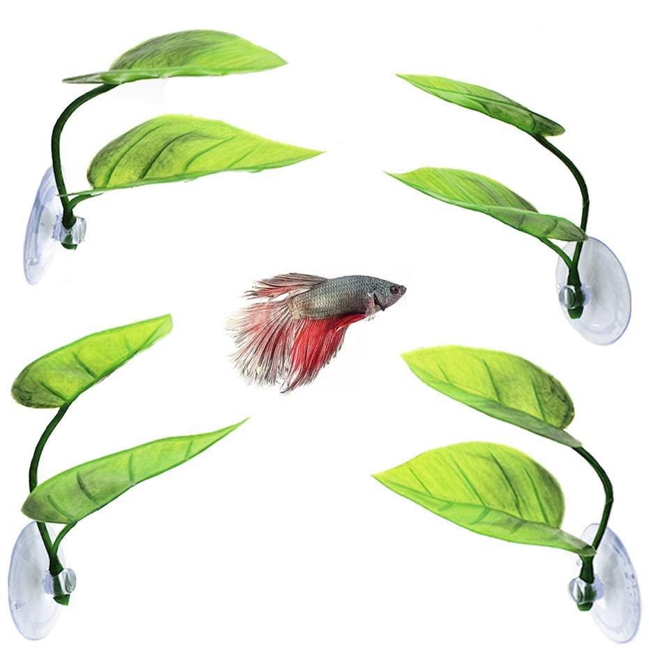 61qxyYT50QL._AC_SL1000_