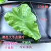 Simulação Folhas de Alface Pequenas Modelo de Vegetal Folhas de Vegetais de PVC Exibição de Alimentos de Cozinha Adereços para Sessão de Fotos de Fazenda Restaurante