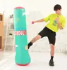 Novo saco de pancadas inflável infantil de desenho animado transfronteiriço, equipamento de boxe para alívio de estresse para uso doméstico, coluna de boxe inflável de PVC