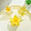 Conjunto de Presilhas de Cabelo Flor de Plumeria de Nova Celebridade da Internet Transfronteiriça para Cabelo Semi-Preso na Parte de Trás da Cabeça, Prendedor de Cabelo Flor, Presilha de Tubarão Atacado