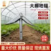 Invernadero de Verduras Invernadero Fijo Ancla de Suelo Esencial Estaca de Suelo Engrosada Cables de Acero a Prueba de Óxido y Duraderos Accesorios