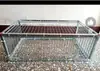 Paloma golpea puerta suministros para palomas mensajeras montaje jaula para palomas solo entrada sin salida barra móvil totalmente automática jaula golpea puerta solo entrada sin salida
