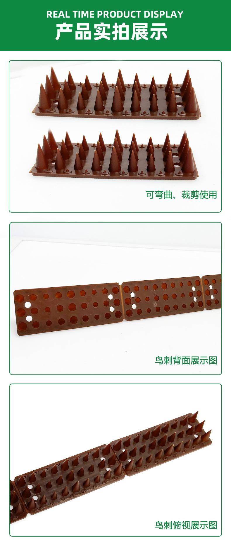 矮鸟刺详情_12